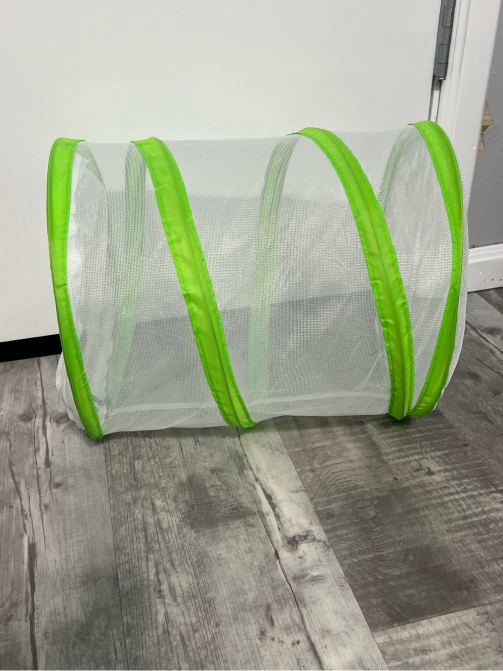 Pop-Up Mesh Butterfly Insect Habitat with Lime Green Trim Top Zipper - Picture 3 of 3